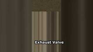 87618353-0 Egzoz Valfi